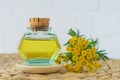 Small vintage bottle with massage oil and blue tansy flowers. Aromatherapy, spa, homemade beauty treatment and herbal medicine Royalty Free Stock Photo