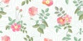 Small vintage roses. Royalty Free Stock Photo