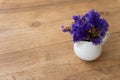 Small violet flower in a white cup on a wooden table Royalty Free Stock Photo