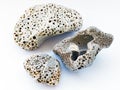 Small Volcanic Rocks From Ocean