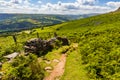 A small walking trail on a Welsh hillside.