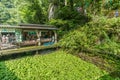 Small wasabi plantation and shop at Joren Falls Park Joren no Taki on Kano River. Royalty Free Stock Photo