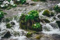 Small water cascade with stones in winter forest Royalty Free Stock Photo