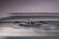 Small water drop fall on water surface creating a splash and ripples Royalty Free Stock Photo