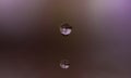 Small water drops in macro close up Royalty Free Stock Photo