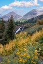 Small water fall along Sneffels creek in San Juan mountains Colorado ,Surrounded with wildflowers Royalty Free Stock Photo