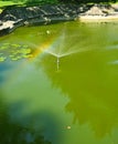 Rainbow in water, sprinkler and waterlilies in artificial lake Royalty Free Stock Photo