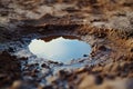 Small water puddle in sandy ground Royalty Free Stock Photo