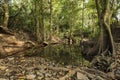 Small water stream that feeds to Haew Narok Waterfall, Khao Yai