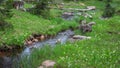 Small water stream passing through a meadow in Uinta Wasatch national forest