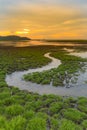 Small water way over little grass on crack land Royalty Free Stock Photo