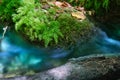 small watercourse in the Alento River Park in Abruzzo Royalty Free Stock Photo