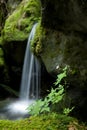 Small waterfall Royalty Free Stock Photo