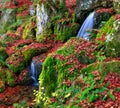 A small waterfall in autumn season, Kyoto, Japan