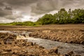 A small waterfall and bedrock exposed due to Earlstoun Dam due to drained Royalty Free Stock Photo