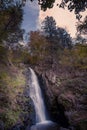 Small waterfall in black forest, Germany Royalty Free Stock Photo