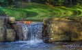 Miniture Waterfall Royalty Free Stock Photo