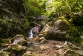 Small waterfall and the bridge in the mountain forest