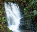 Small waterfall in the Coastal Range of southern Oregon Royalty Free Stock Photo