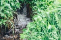 Small waterfall of creek Royalty Free Stock Photo