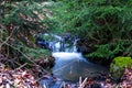 Small waterfall on a creek in winter paneled with branches and grass Royalty Free Stock Photo