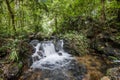 Small waterfall in the dark forest. Waterfalls and vegetation inside the Bwindi Impenetrable Forest Royalty Free Stock Photo