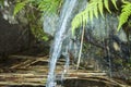 Small waterfall Royalty Free Stock Photo