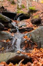 Small waterfall flowing through moss covered rocks and fallen colorful autumn leaves Royalty Free Stock Photo