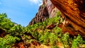 A waterfall flowing over the cliffs overhanging the trail to the Lower Emerald Pool in Zion National Park, Utah, United States Royalty Free Stock Photo