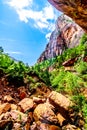 A waterfall flowing over the cliffs overhanging the trail to the Lower Emerald Pool in Zion National Park, Utah, United States Royalty Free Stock Photo