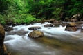 A small waterfall in nature. Royalty Free Stock Photo