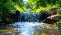 Small waterfall cascading over mossy rocks in forest stream with sunlight reflections Royalty Free Stock Photo