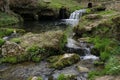 A small waterfall in the forest. Bright juicy greens and splashes of water. A quiet and peaceful place for family holidays