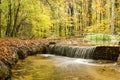 Small waterfall in the forest Royalty Free Stock Photo