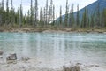 Small waterfall in a forest, Mount Revelstoke National Park bij Revelstoke