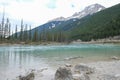 Small waterfall in a forest, Mount Revelstoke National Park bij Revelstoke