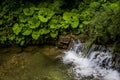 A small waterfall of forest river in Carpathian Royalty Free Stock Photo