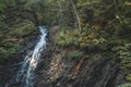 Small waterfall forest summer landscape nature Royalty Free Stock Photo