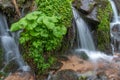 Small waterfall of fresh water in the middle of lush vegetation in the mountains Royalty Free Stock Photo