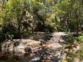 small waterfall and a green lagoon hidden in the oak forests of Portugal