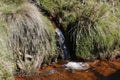 Small waterfall on hillside stream