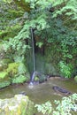 Small waterfall in japanese Zen garden Royalty Free Stock Photo