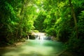 Small waterfall in the jungle