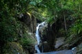 Small waterfall in the jungle. Lush green jungle with small cascading waterfall Royalty Free Stock Photo