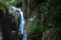 Small waterfall in the jungle. Lush green jungle with small cascading waterfall Royalty Free Stock Photo