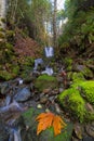 Small Waterfall at Lower Lewis River Falls in washington state Royalty Free Stock Photo