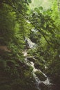 Small waterfall in lush green forest Royalty Free Stock Photo