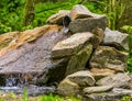 Small waterfall made out of boulders in a garden, simple and beautiful garden architecture, pond decorations, nature background Royalty Free Stock Photo