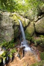 Small waterfall in Masoala national park, Madagascar Royalty Free Stock Photo