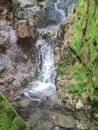 small waterfall in the middle of the forest and between green moss rocks Royalty Free Stock Photo
